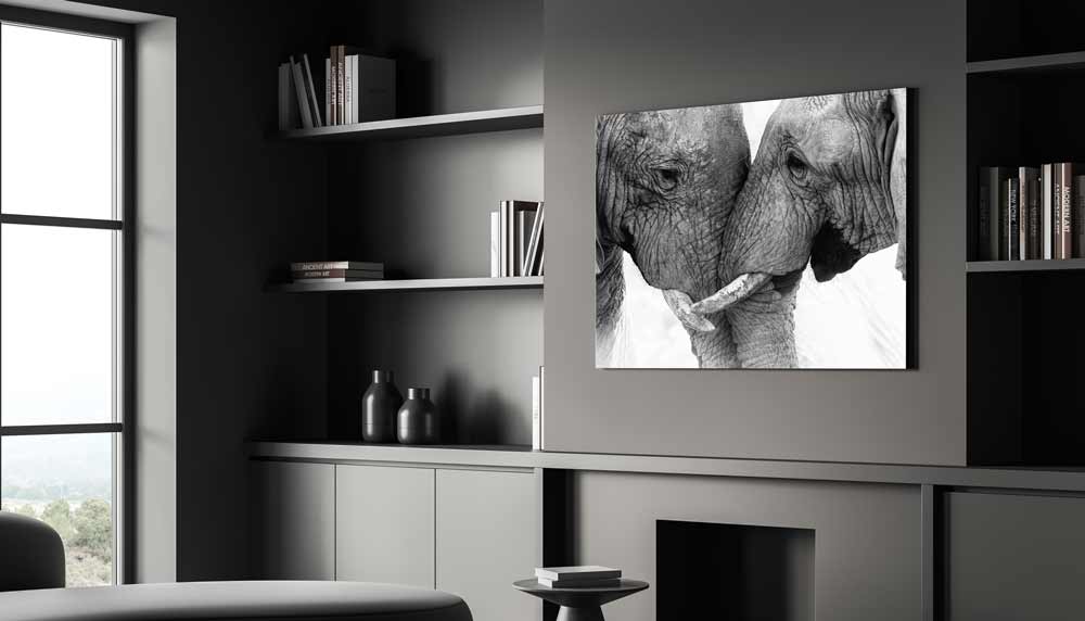 Olifant op canvas