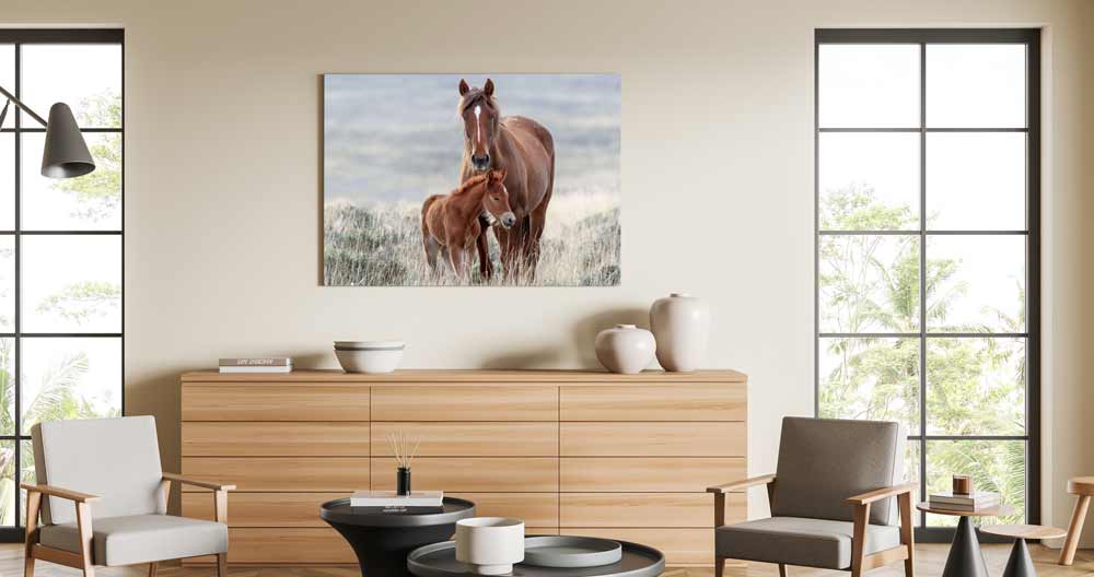 Paarden op canvas