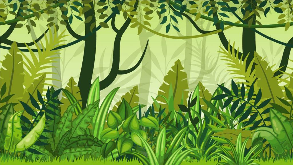 Jungle illustratie
