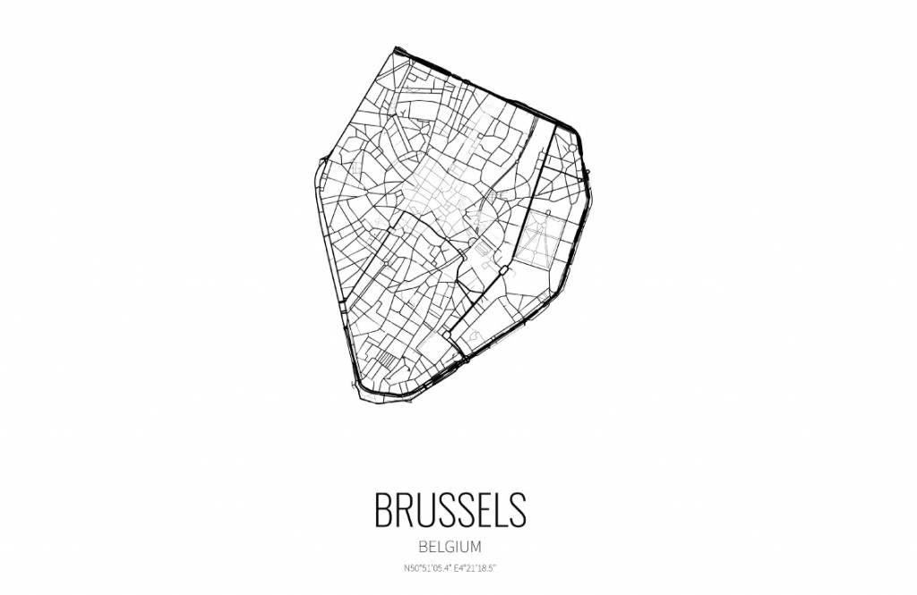Unieke kaart van Brussel