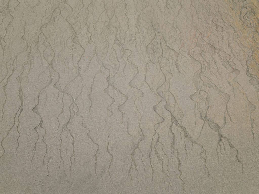 Ader patroon in het zand