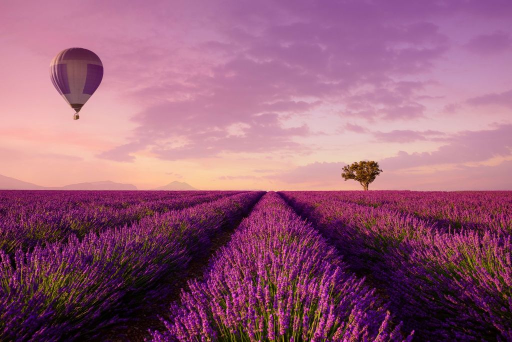 Lavendel veld en luchtballon