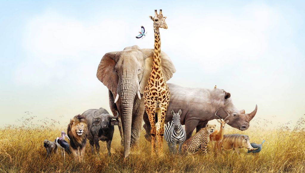 Dieren in de savanne