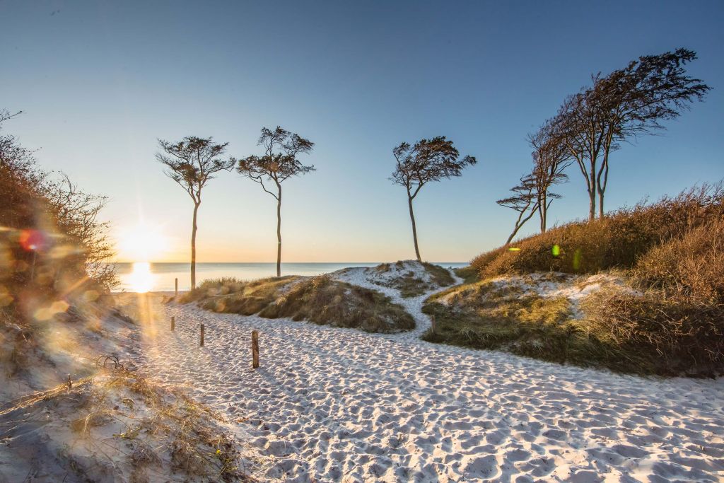Strand aan de Baltische Zee