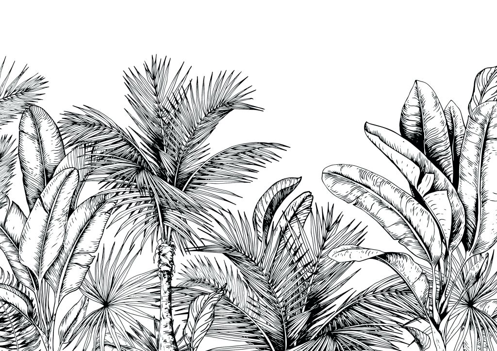 Palmbomen en bananenbladeren
