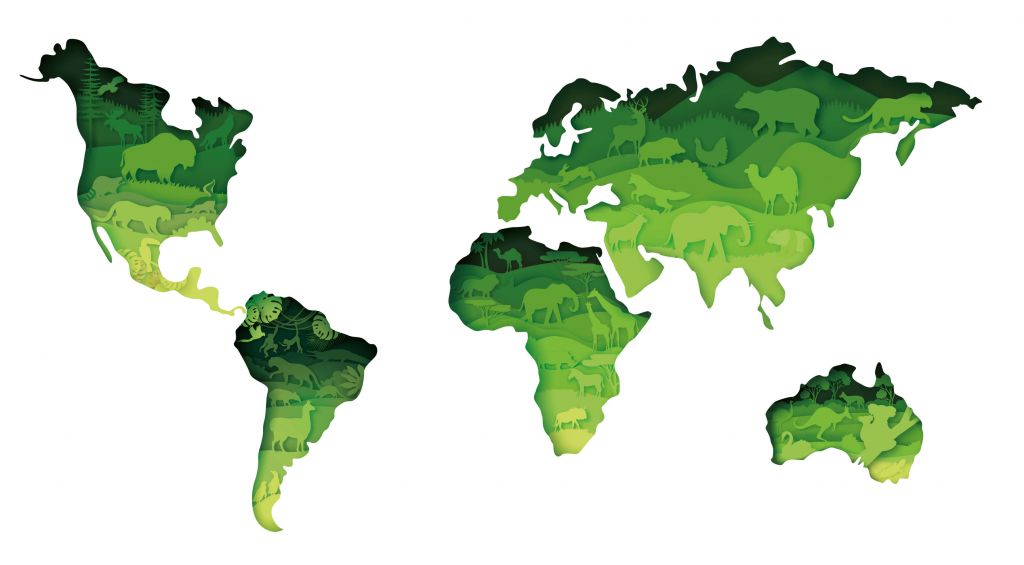 Dieren wereldkaart groen tinten