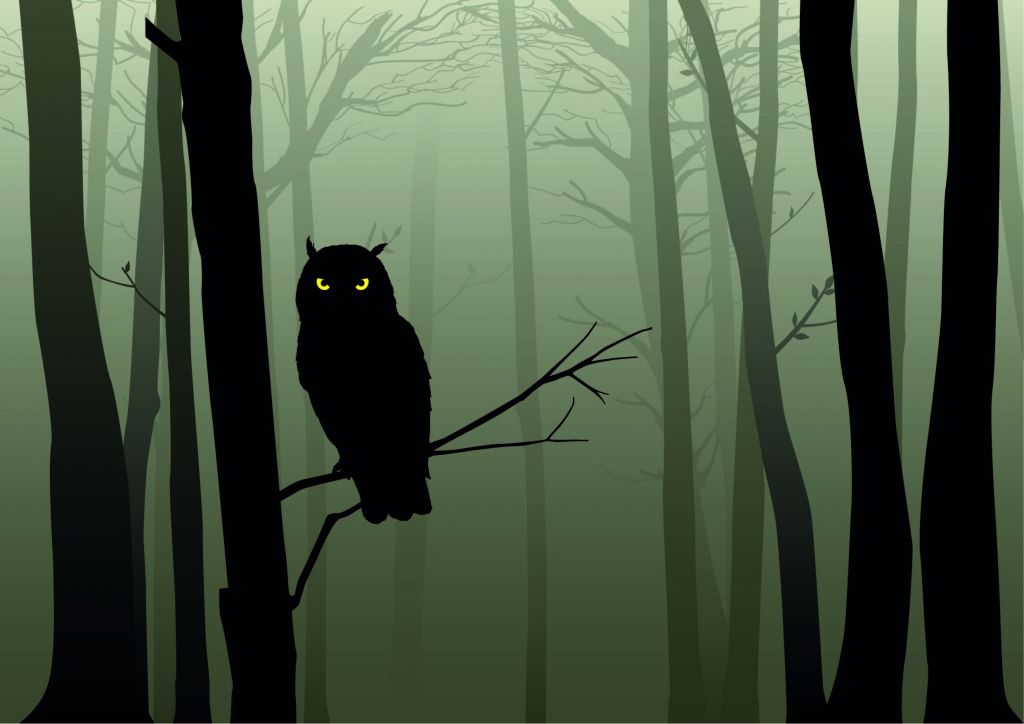 Geïllustreerde uil in donker bos